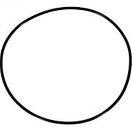 Olympian Athlete Astral Cartridge Filter O-Ring OL2770107